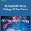 Ali Pashaeis SPY Weekly Strategy – All Three Classes