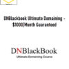 DNBlackbook Ultimate Domaining - $1000/Month Guaranteed