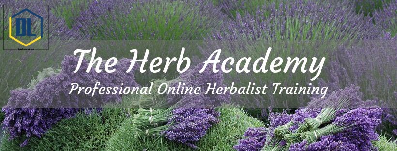 The Herbal Academy – Clinical Herbalist Path Package 19 The Herb Academy fb header 1