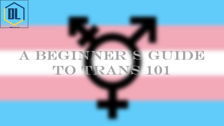 A Beginner's Guide to Trans 101 1 112