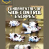 Pedro Sauer – Fundamentals of Side Control Escapes