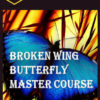 John Locke – Broken Wing Butterfly Master Track Series 2 John Locke – Broken Wing Butterfly Master Track Series