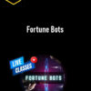 Chase Reiner – Fortune Bots