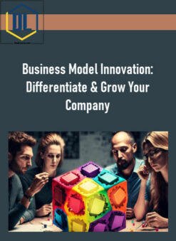 Business Model Innovation: Differentiate & Grow Your Company