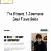 Alin Dragu – The Ultimate E-Commerce Email Flows Guide