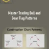 Master Trader – Master Trading Bull and Bear Flag Patterns